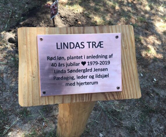 Lindas-Træ-live