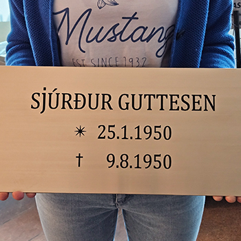 Messing mindeplade 2 350 x 350 fil til billeder